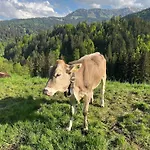 Traudi Apartman *