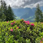 Traudi Oberstdorf