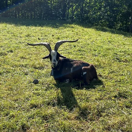 Traudi * Oberstdorf