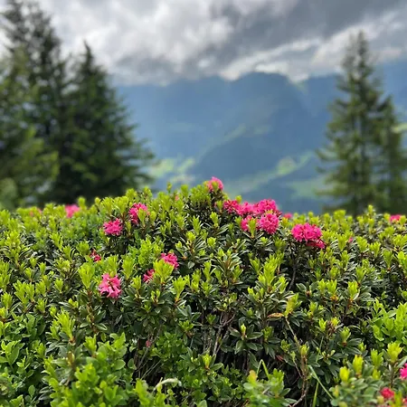 Traudi Oberstdorf